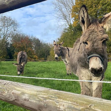 Gite " La Petite Maison" Livry  Eksteriør billede