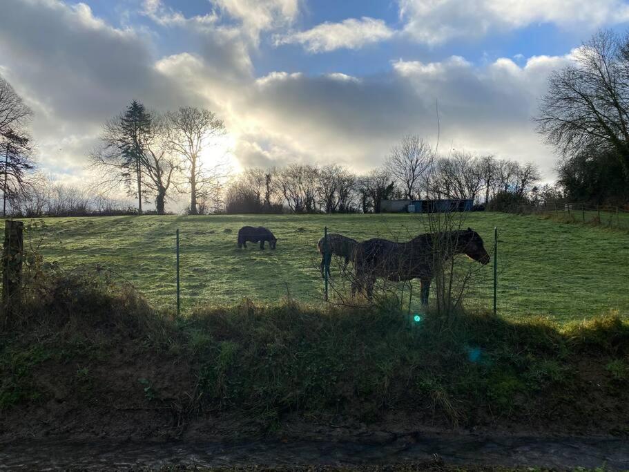 Gite " La Petite Maison" Livry  Eksteriør billede